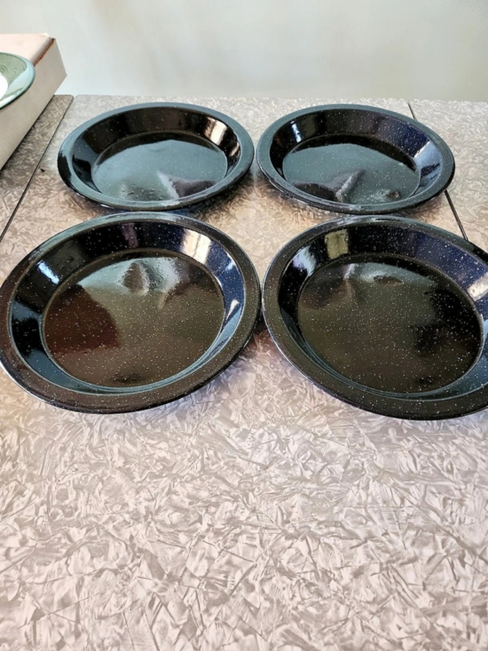 Black Speckled Dinner Plates Set of 4